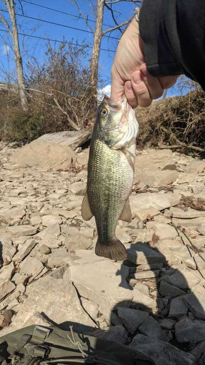 fishing_01152021-01.jpg