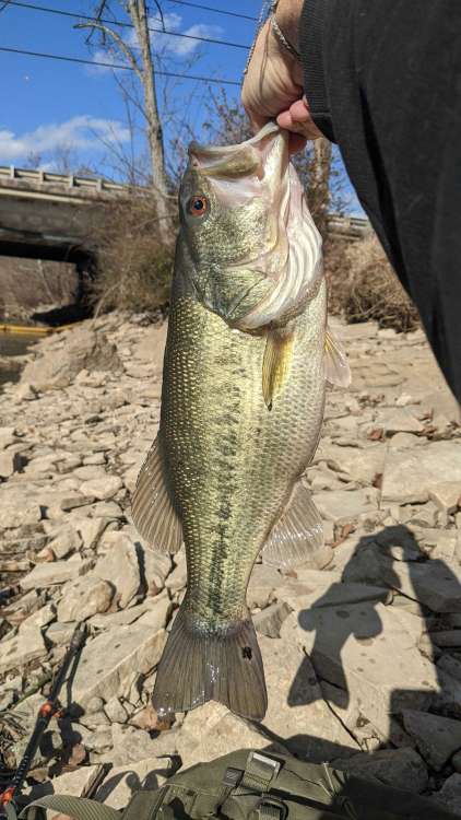 fishing_01152021.jpg