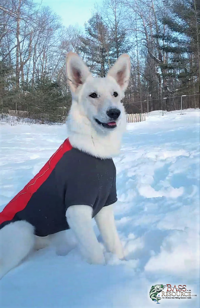 Kya Snow Face ~