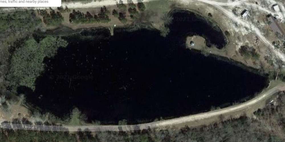 pond.JPG