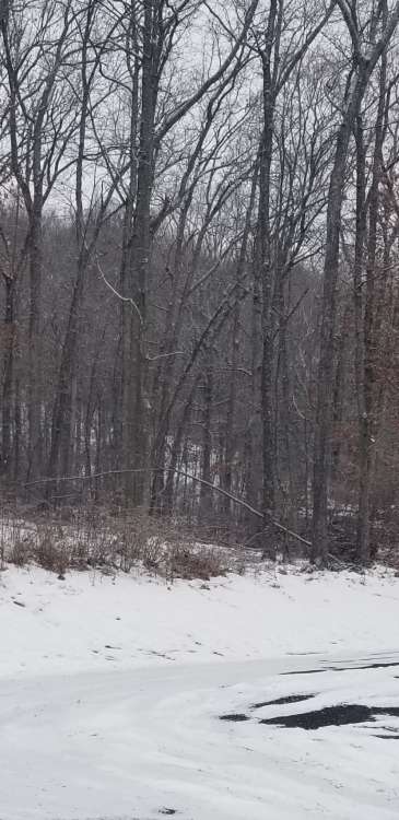 20210211_094430.thumb.jpg.0bde701cafb7a59a46d6773b0cb657bc.jpg