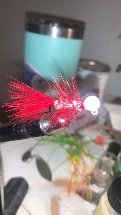 FD6D39EE-D027-4EF8-BAEA-AC978258CF8C.jpeg
