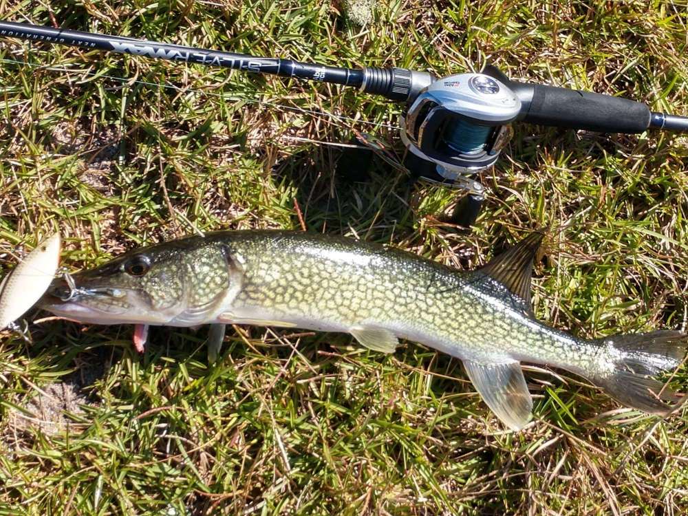 IMG_20201120_105944031_HDR_compress90.jpg