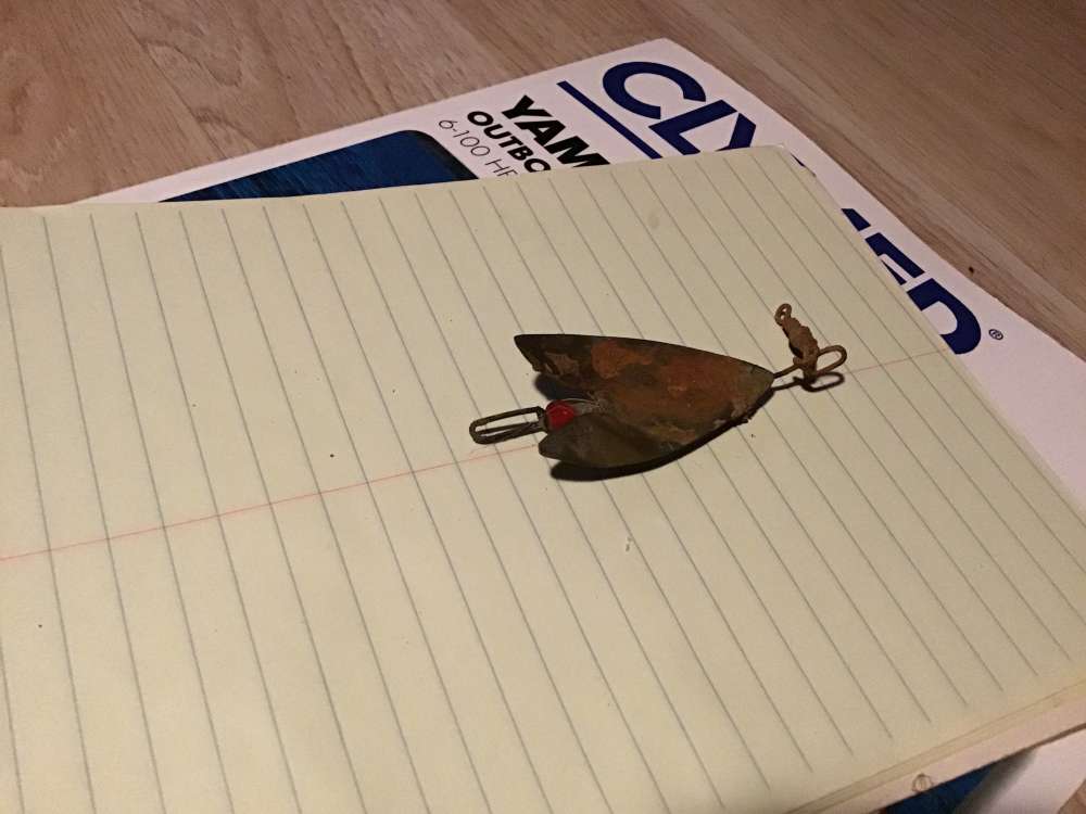 image.jpg