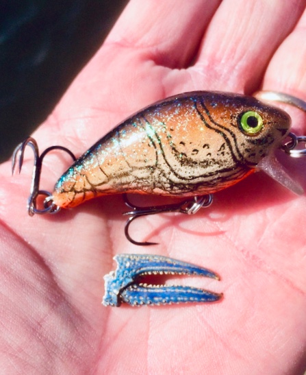 Pre spawn jig colors - Fishing Tackle - Bass Fishing Forums