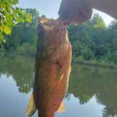 FishNTell