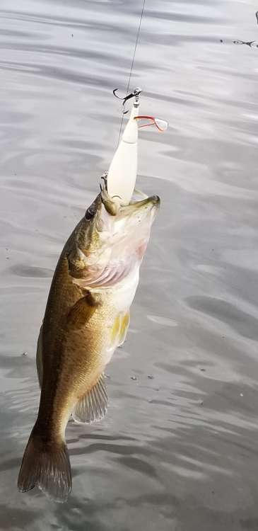 20201028_144053.thumb.jpg.f6a39eb1fda227528e2becbe999689ca.jpg