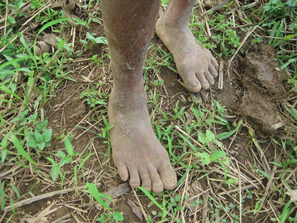 dipolog farming 075.JPG