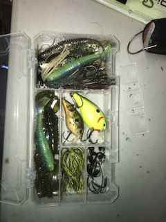 Downsizing for Bank fishing - first order of retrievability - Fishing Tackle  - Bass Fishing Forums
