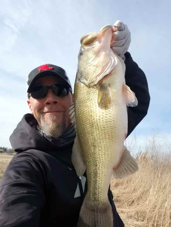 43682079_pondtoad.thumb.jpg.065f61436e20270a511f499c29aaf867.jpg