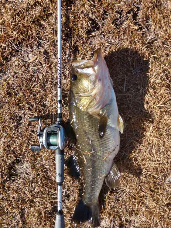 IMG_20201229_135012391_HDR_compress33.jpg