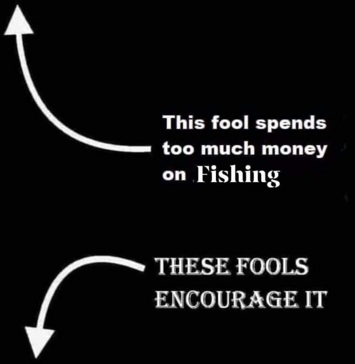 image.thumb.png.df04255ff8da104382fc27f68013fefd.png