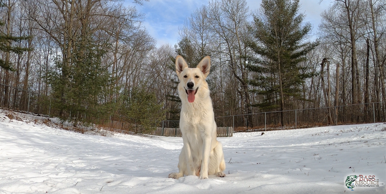 Kya's First Day of Spring 2021 ~