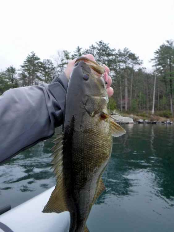4-29-21 float tube.jpg