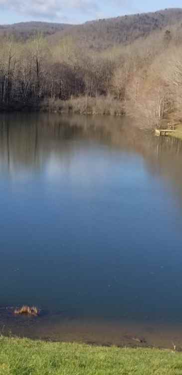 20210411_144123.thumb.jpg.5c73227c0901fad211cd3f79ca87199d.jpg