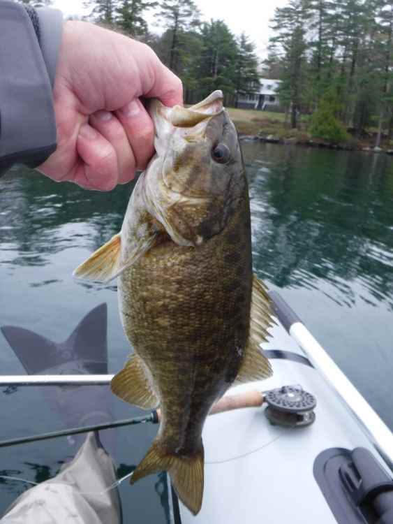4-29-21 float tube_03.jpg