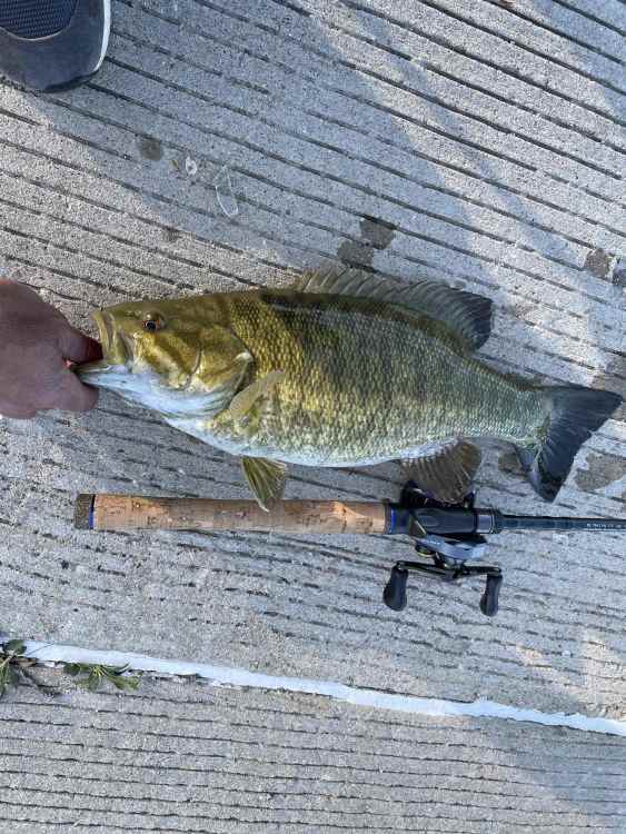 4lbsmall.jpg