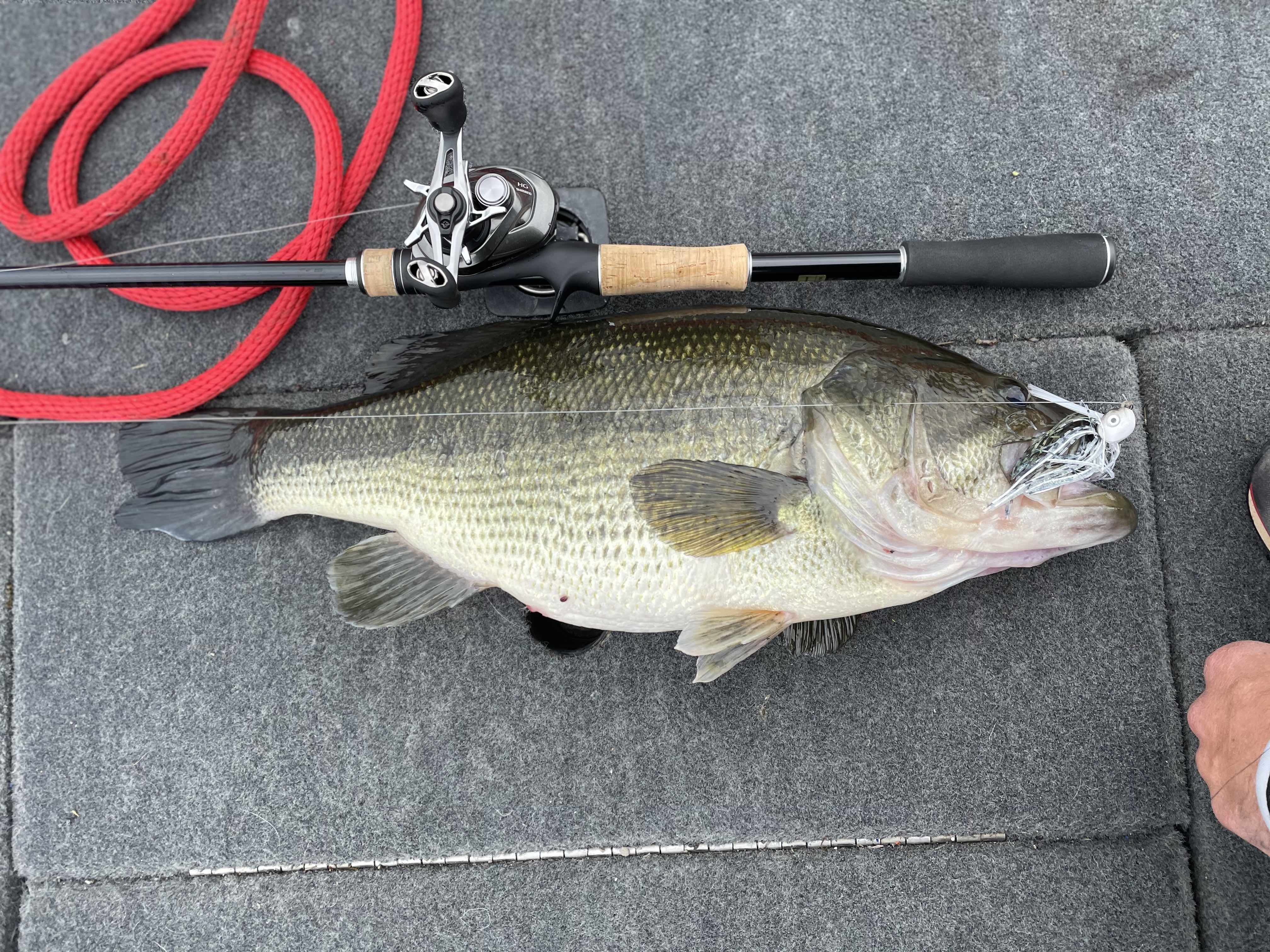 Shimano Fishing EXPRIDE 72 MH SPN B Freshwater Bass Spinning