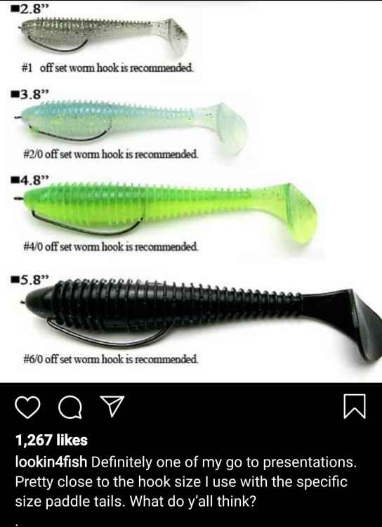 Screenshot_20200519-185623_Instagram.jpg