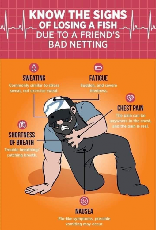 image.thumb.png.329c24d4074a23928d2adc4364bd095d.png