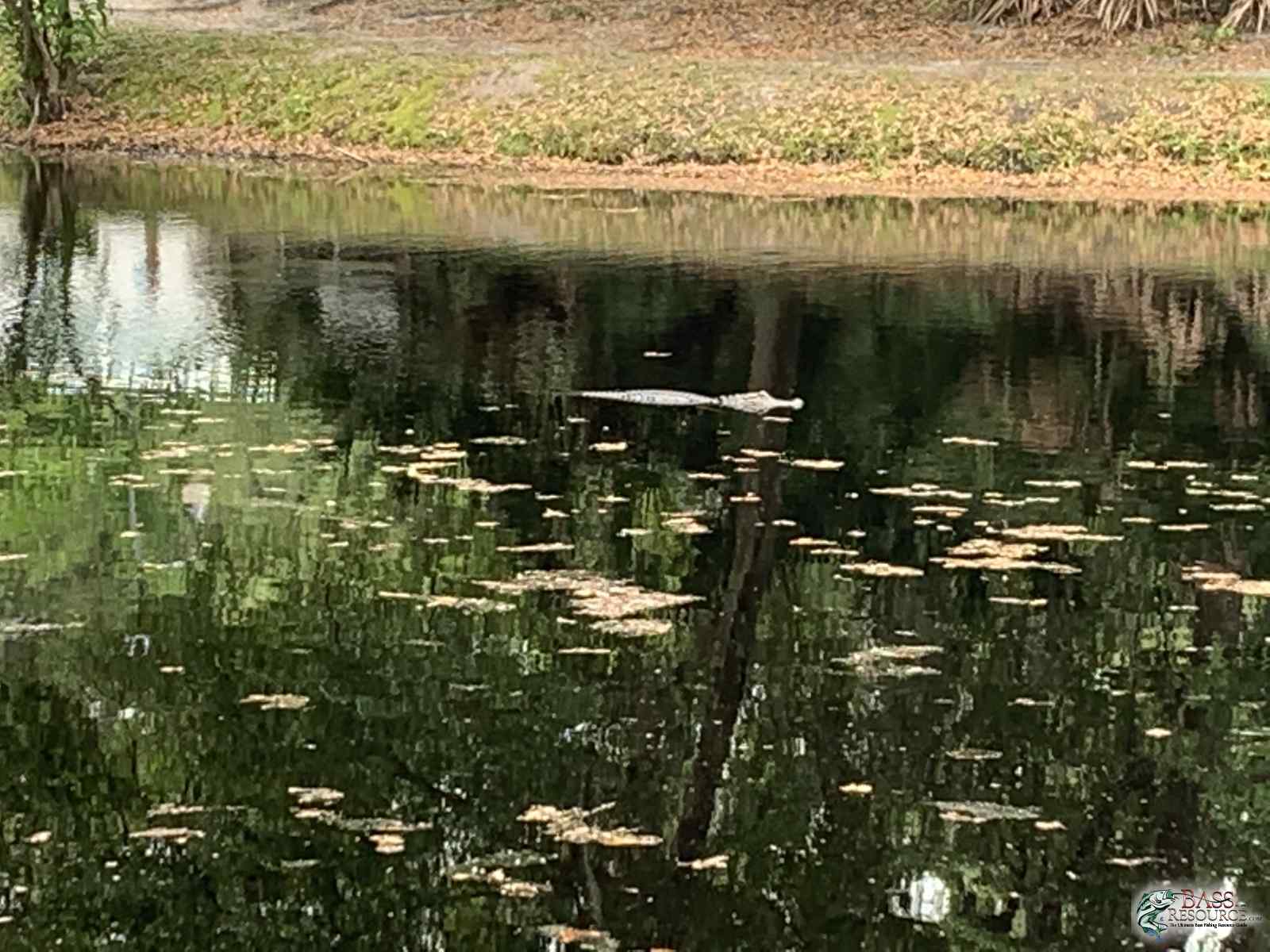 026F02A7-060B-4B66-A3B0-55C13151A7C3.jpeg