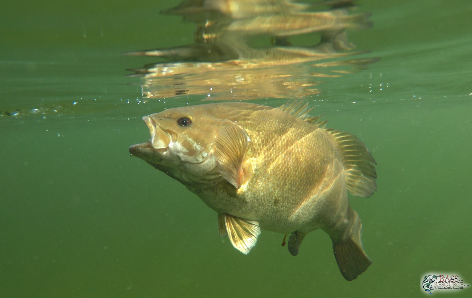 Lake Menderchuck Release ~