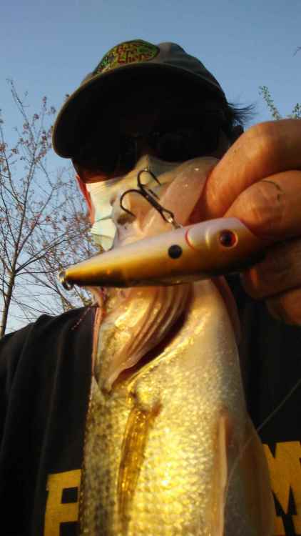 popper.jpg