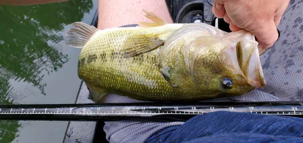 20210525_193938.thumb.jpg.e62389a6a6701983afb6ea3519d9e6e9.jpg