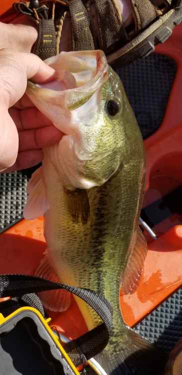 20210527_154831.thumb.jpg.1deb8cf34a5848315c4796258fec38d0.jpg