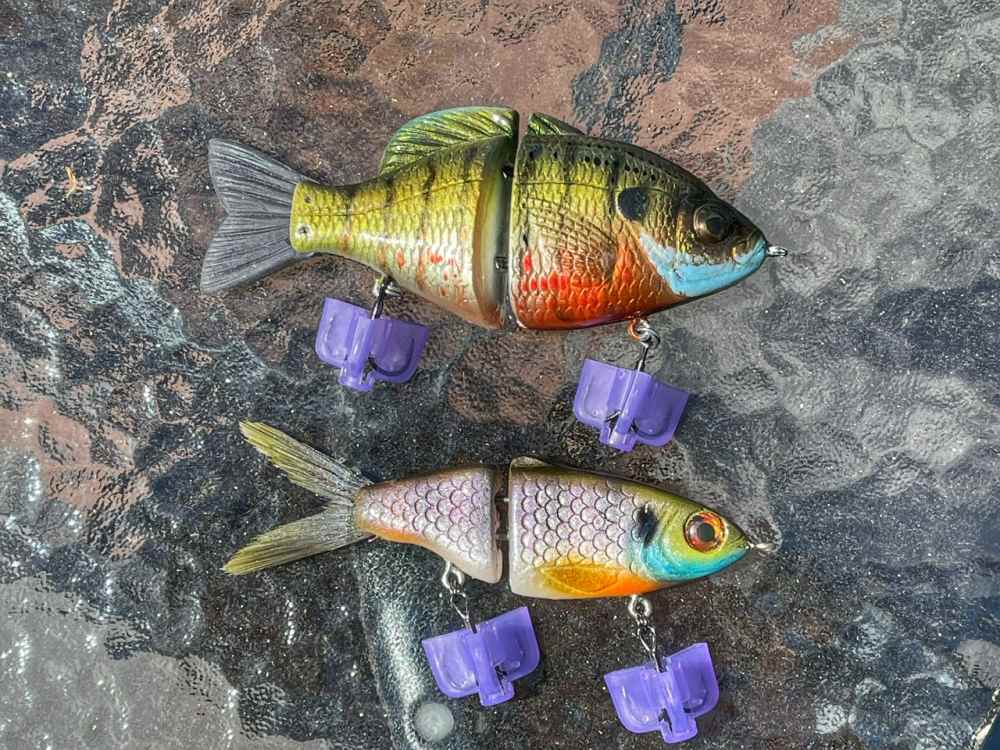 6492186A-D76D-4B02-931F-9F6D6C86F0FB.jpeg