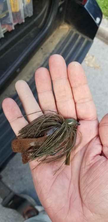 Favorite jig color.jpg