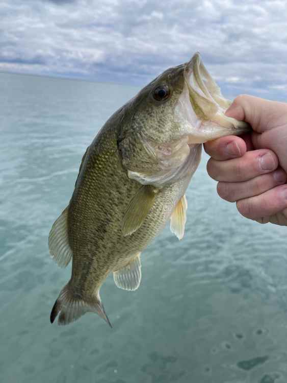 1st 2021 LMB.jpg