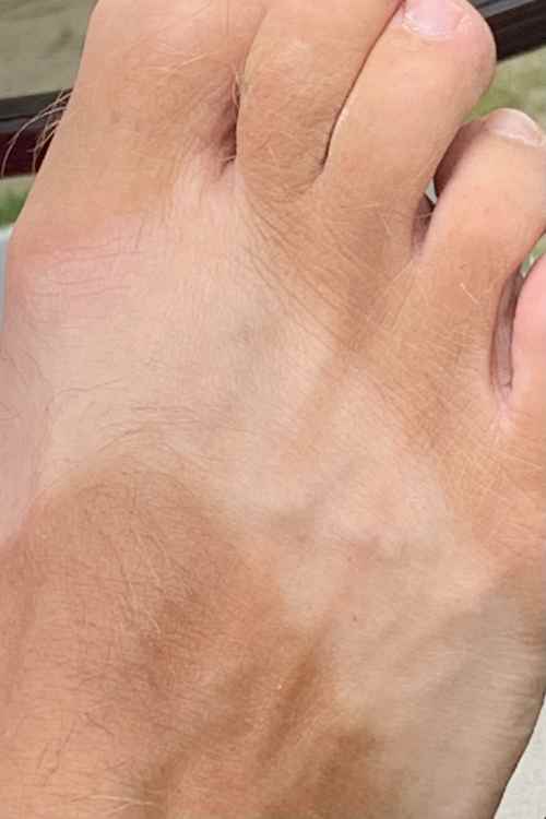9435613E-A6C7-40E8-A43E-59790483670F.thumb.jpeg.8cf5b41b2963ae48c61e2cf21cee30e8.jpeg