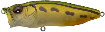 image.png.13d7b962264fdcf03c2cd18b363f5e13.png
