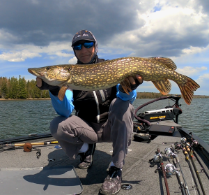 14 May 21 ~ Pretty Pike