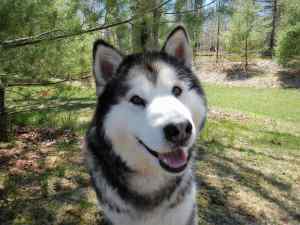 Tucker May 21 -