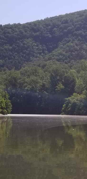 20210527_155028.thumb.jpg.072c7db15f94f1776e3bf549f576f359.jpg