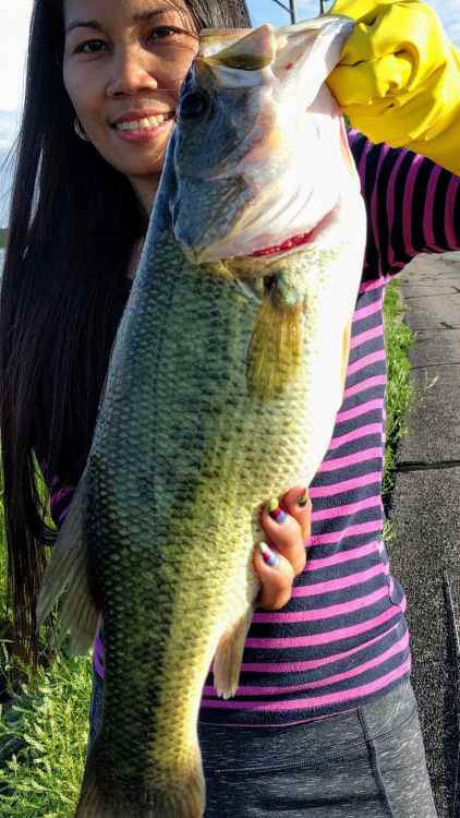 2119357346_zetmonsterbass041(4).thumb.jpg.82aa32ffac4ec51483f861dea8bb054a.jpg
