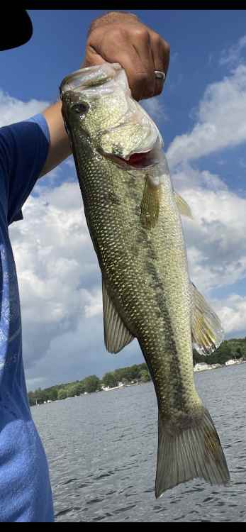 swim jig lil long.jpg