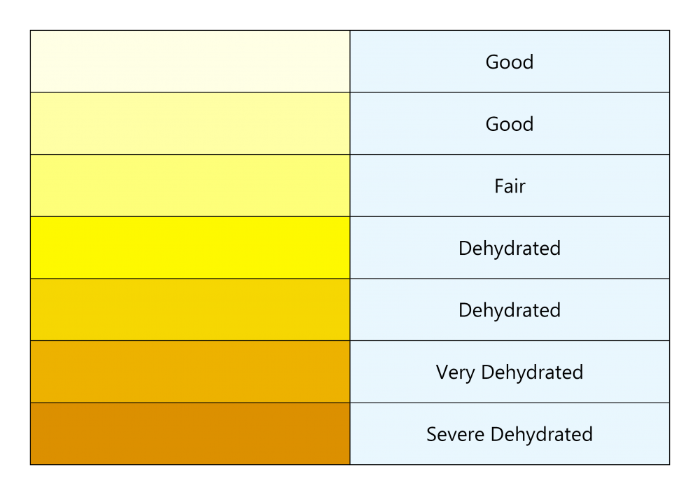 Dehydration-chart.png