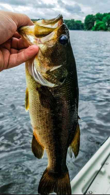 Screenshot_20210630-113616_Fishbrain.jpg