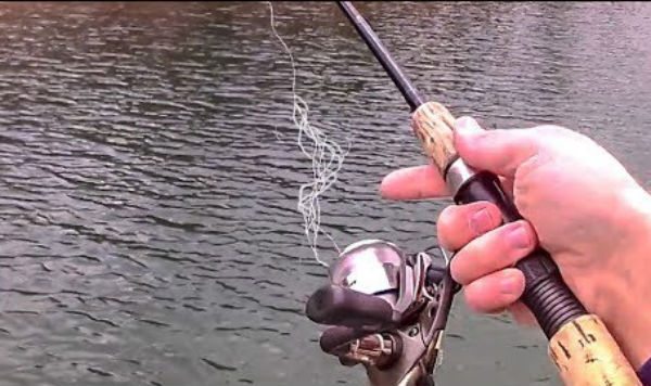 Line Memory Questions - Fishing Rods, Reels, Line, and Knots - Bass Fishing  Forums