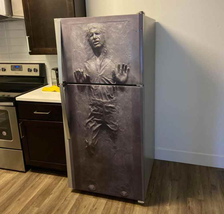 sticker-wrap-turns-refrigerator-han-solo-stuck-in-carbonite-679.jpg