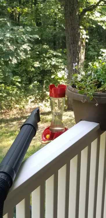 20210728_100746.jpg