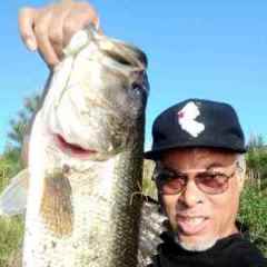 Big Bass XL