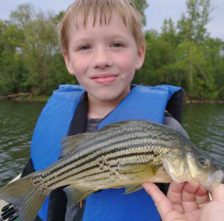 Liam Yellow Bass.jpg