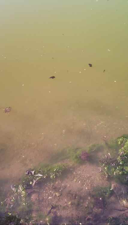 Screenshot_20210708-162745_Video Player.jpg