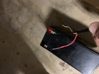 B080047B-1087-4AF1-9D55-C0C8525940DF.jpeg.b9816aad4fc943b6ad3743c91da19c74.jpeg
