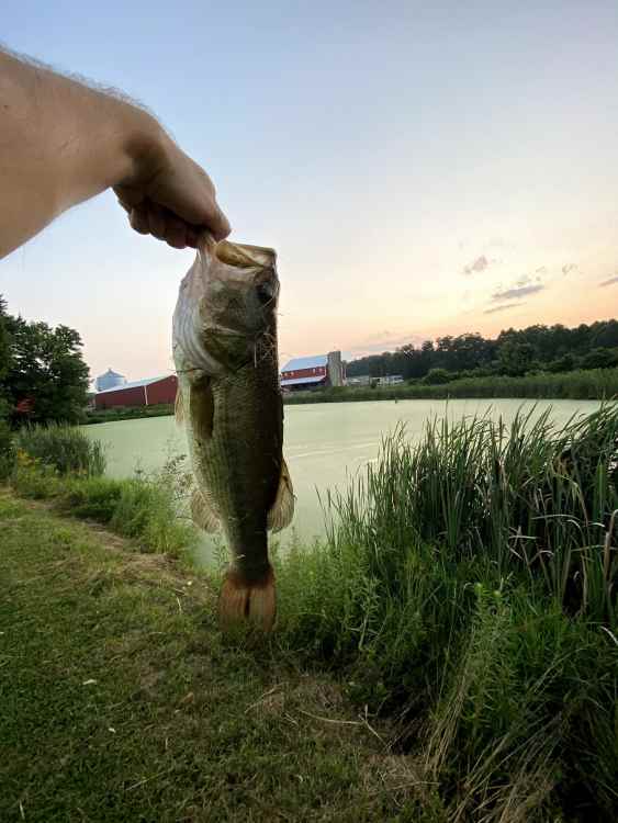 IMG_2730.thumb.jpg.faef1a9ffc659761909bb275f9ed596a.jpg