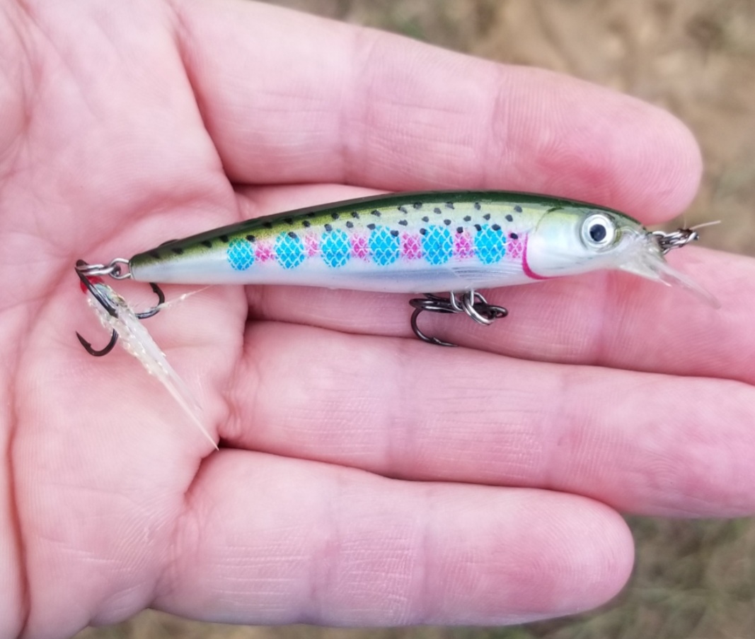 What lures best mimic mosquito fish? - Fishing Tackle - Bass Fishing Forums